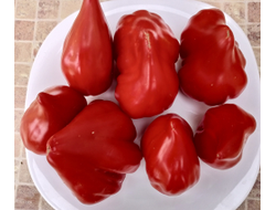 Томат Скифея (Скифская фея)