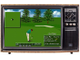PGA tour golf 3, Игра для Сега (Sega game)