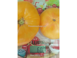 Томат Крем-Торт