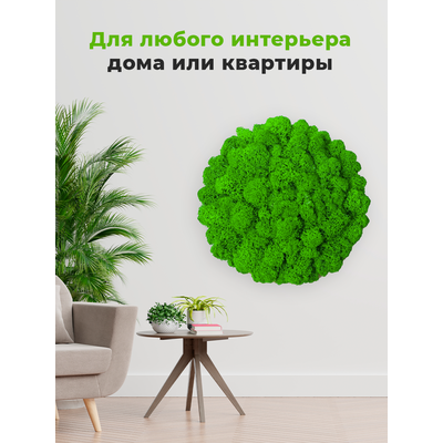 ЖИВАЯ ЭКО-КАРТИНА 1042