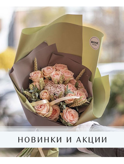 Новинки и сезонные цветы