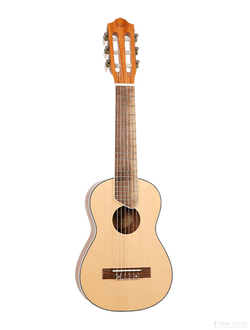 Flight GUT 350 SP/SAP