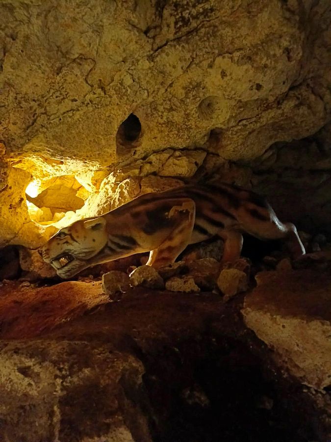 пещера Таврида, экскурсия