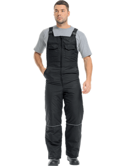 Полукомбинезон ДИКСОН зимний