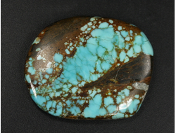 Бирюза, полировка плоская, США, Невада (35*28*5 мм, 8,6 г) №37842