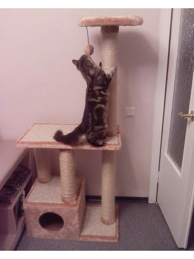 №145 Домик для кошки Мега  +