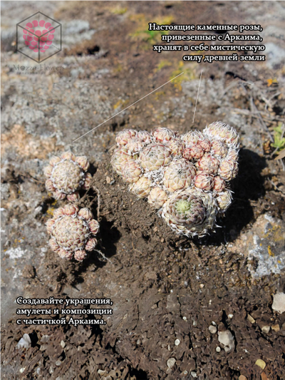 Набор силиконовых молдов "Каменные розы Аркаима"