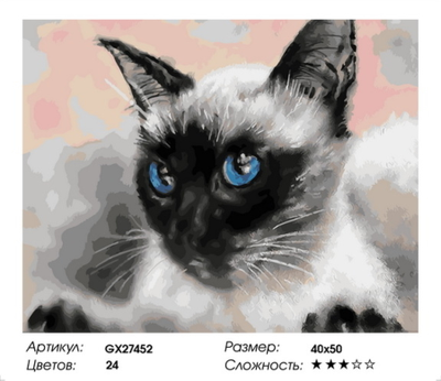 Картина по номерам 40х50 на подрамнике GX27452