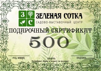 Подарочный сертификат 500 руб.
