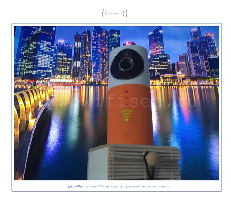 CleverDog умная WiFi p2p видеокамера от WiFisec.ru