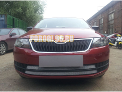 Защита радиатора Skoda Rapid 2013-2017 (2 части) chrome