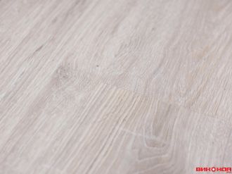 Сосна зимняя 33 класс