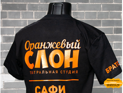 Футболка черная хлопок (Унисекс) с печатью флекс