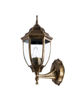 Уличный светильник Arte Lamp PEGASUS A 3151 AL-1BN
