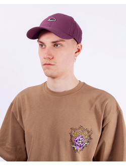 Кепка Anteater Baseball Фиолетовая