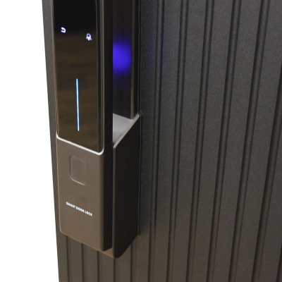 Стальная дверь   Jazz. Заказная модель.