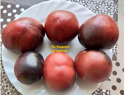 Томат Ла Кадеро (La Cadero)