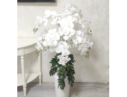 Белая Орхидея в напольной вазе