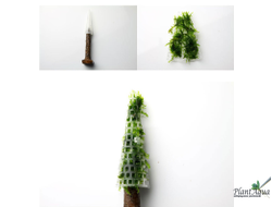 Декорация для мха Christmas Tree (дерево)