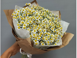 Букет матрикарии "Лето"