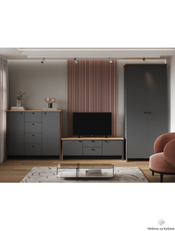 Теодора комплект мебели для гостиной Графит/Дуб крафт