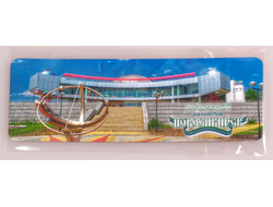 Гибкий магнит 14х5 см. - Новосибирский планетарий | интернет-магазин 2fru.ru