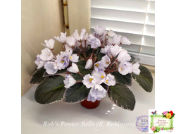 Rob's Pewter Bells (R. Robinson)