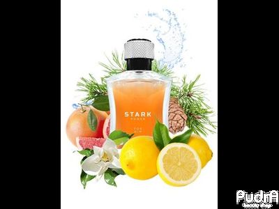 Dilis Туалетная вода мужская Stark POWER | Дилис
