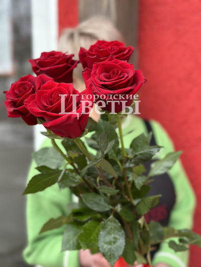 5 красных роз (70см)