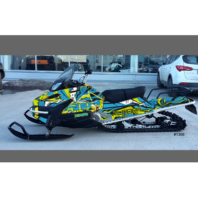 Наклейки на снегоход Tundra - 2010 2011 2012 2013  №1300