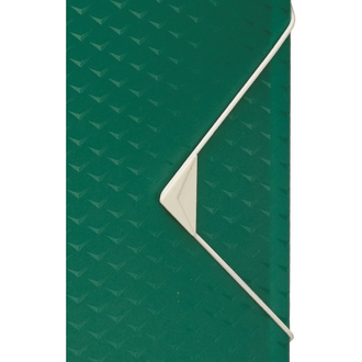 Папка на резинках (бокс) Esselte Colour Ice, 40 мм, зеленый