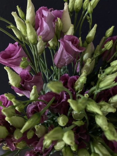 Эустома 15 шт