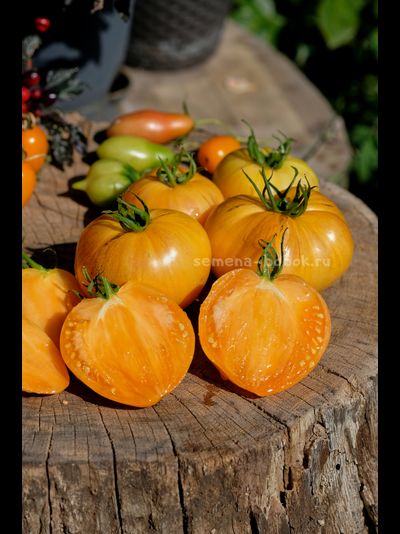 Томат Дынный Ликёр, 10 шт