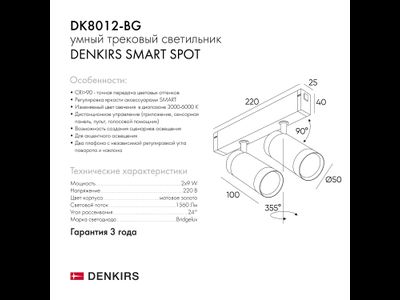 Трековый светильник Denkirs DK8012-BG