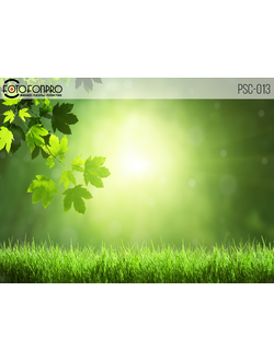 Фотофон виниловый «Весенний свет»