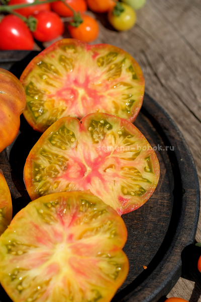 Томат Ярсон 7/1 (Jarson 7/1), 10 шт