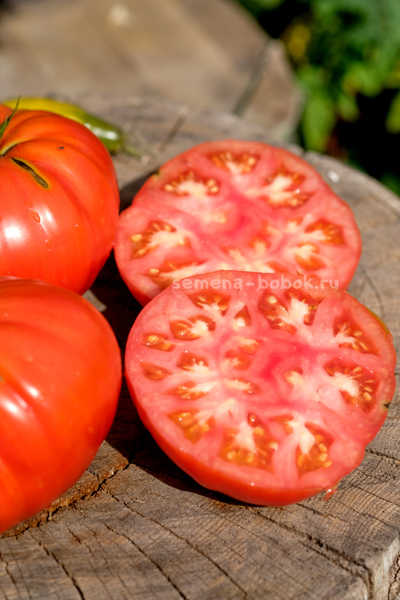 Томат Ивунтянский Великан, 10 шт