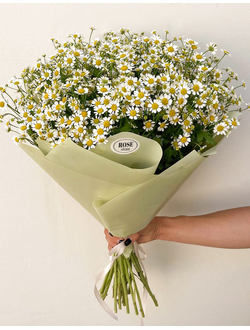 25 кустовых ромашек