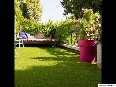 Рулонный газон Сити