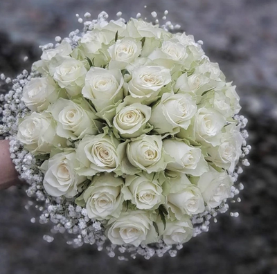 букет из 35 белых роз и гипсофилы