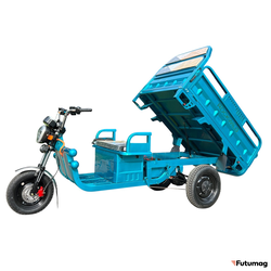 Грузовой электрический трицикл Rockwild Cargo C6 60V 45AH