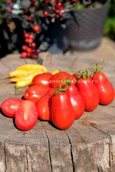 Томат Джуаджито (Guajito), 7 шт