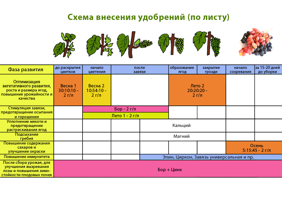 Фертигация малины схема