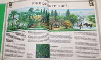 Детская энциклопедия Махаон. Мир леса. М.: Махаон. 2007.