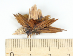 Редкость! Рутил свободного роста, сростки "звезды" золотистых игольчатых кристаллов на кристаллах гематита, Бразилия (29*16*16 мм, 2,3 г) №37919