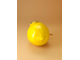 Лимон Мейер