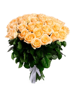 Букет роз Аваланж Пинч