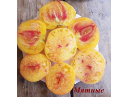 Томат Мятные (Peppermint) США