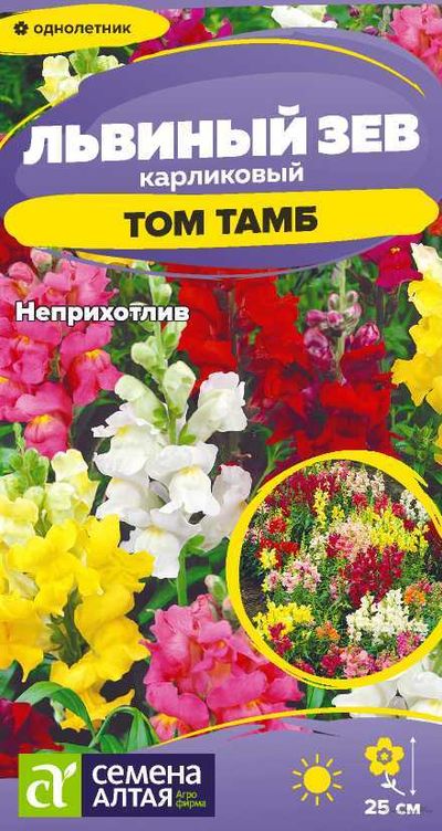 Цветы Львиный зев Том Тамб Карликовый/Сем Алт/цп 0,1гр