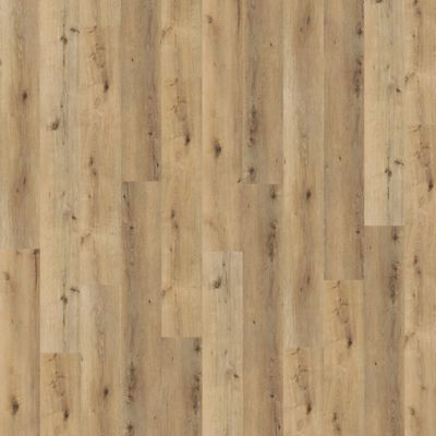 Виниловый пол Wineo 800 Wood XL Corn Rustic Oak DLC00064